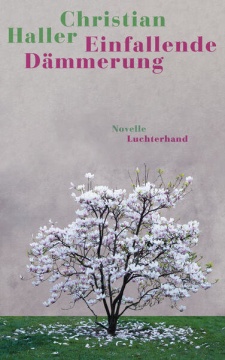 Buchcover: Einfallende Dämmerung