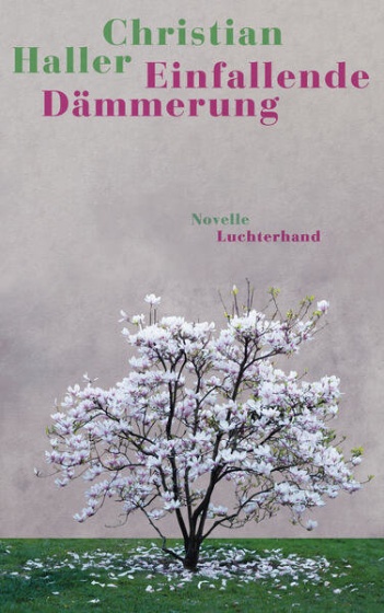 Buchcover: Einfallende Dämmerung